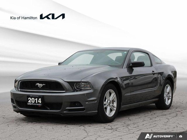 2014 Ford Mustang in Cars & Trucks in Hamilton