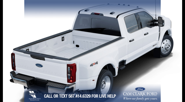 2025 Ford F-450 XLT in Cars & Trucks in Calgary - Image 4