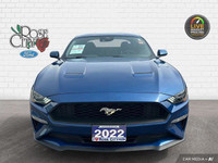 - ACCIDENT FREE - CLOTH SEATS - DUAL ZONE TEMP CONTROL - FORDPASS CONNECT - BLIND SPOT MONITOR - LAN... (image 8)