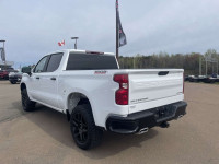 Certified, Off-Road Package, Trailering Package, Aluminum Wheels, Remote Start, Automatic Emergency... (image 6)