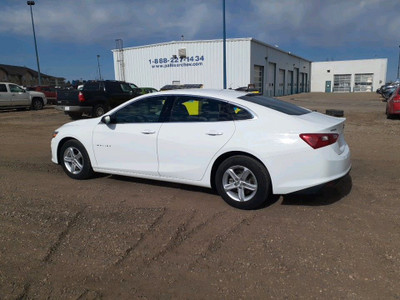 2019 Chevrolet Malibu 1LS