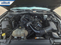 Come see this certified 2017 Ford Mustang V6 | 6-Speed Manual | Nav | Bluetooth | Rear Camera | 18 W... (image 8)