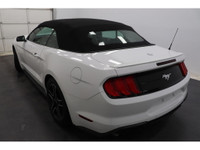 +Apple Carplay +Android Auto +Bluetooth +Caméra de recul / Backup camera +Régulateur de vitesse / Cr... (image 5)