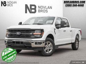 2025 Ford F 150 XLT
