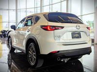 Comes equipped with: Power Mirrors, Shark fin antenna, Halogen Headlamps, Courtesy lights, Fog Light... (image 7)