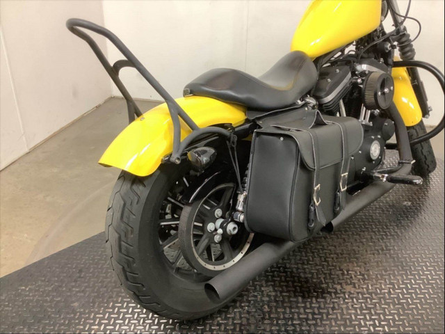 2015 Harley-Davidson XL883N Iron in Street, Cruisers & Choppers in City of Toronto - Image 3