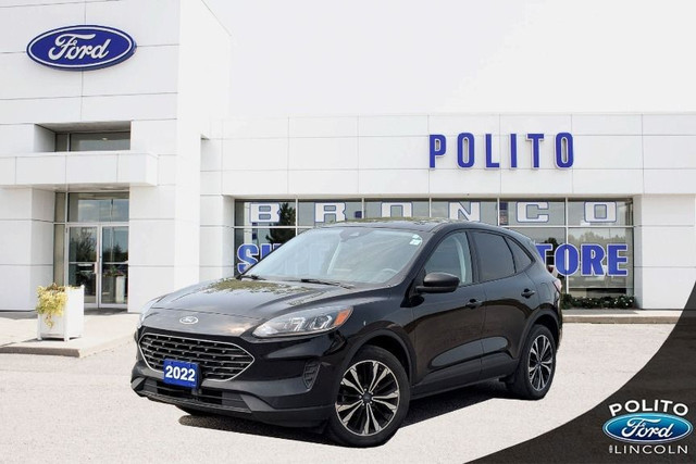 2022 Ford Escape SE High Km's but great SAVINGS! in Cars & Trucks in Kawartha Lakes