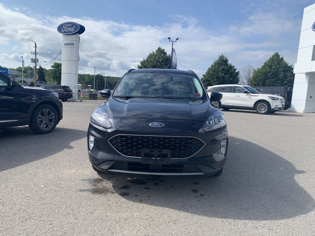 2021 Ford Escape Titanium Hybrid AWD - Leather/Roof + Heated Sea in Cars & Trucks in Kawartha Lakes - Image 2