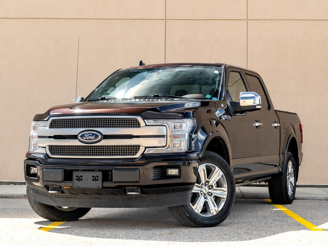 2020 Ford F-150 Platinum - 1 Owner | B&O Audio | Class IV Hitch in Cars & Trucks in Saskatoon - Image 3