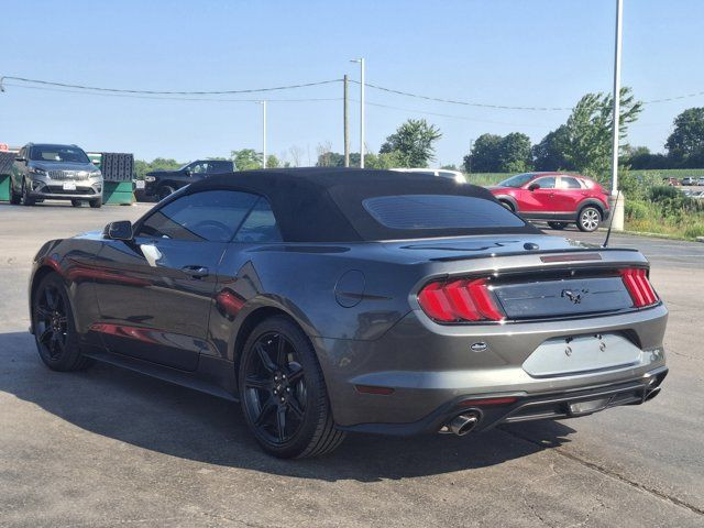 2018 Ford Mustang EcoBoost Premium Leather | Cooled + in Cars & Trucks in Guelph - Image 3