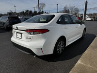 Toyota Corolla Hybride Le Awd Carplay Bluetooth Sièges Chauffants Mags 2024 à vendre13000km, automat... (image 5)
