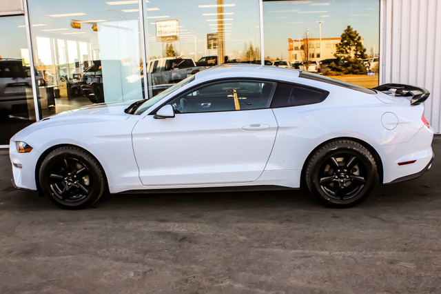 2018 Ford Mustang EcoBoost in Cars & Trucks in Edmonton - Image 3