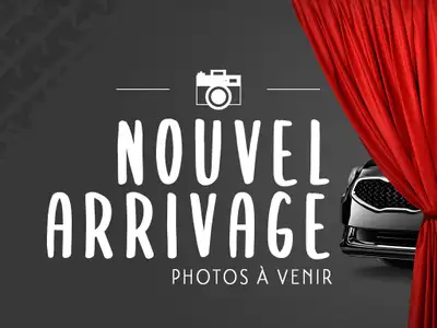Jamais accidenté !! Véhicule bien équipé avec Apple Carplay/Andorid Auto, Bluetooth, Caméra de recul...