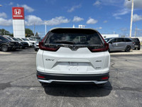 This 2021 Honda CR-V Sport SUV boasts impressive all-wheel drive capability, perfect for navigating... (image 5)