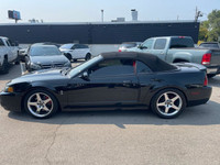 All vehicles come with a full vehicle History Report, ask to see it! 2003 Ford Mustang SVT 10th anni... (image 8)
