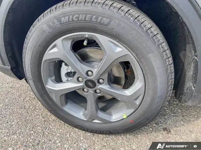 2025 Ford Escape ST-Line in Cars & Trucks in Brandon - Image 19