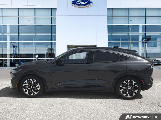 2022 Ford Mustang Mach-E Premium AWD | Extended Range | Local Ve in Cars & Trucks in Winnipeg - Image 4