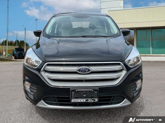 2019 Ford Escape SE | 200A | NAVIGATION | APPLE CARPLAY in Cars & Trucks in Kitchener / Waterloo - Image 3
