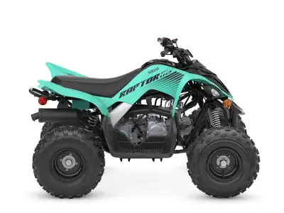 2025 Yamaha Raptor 110 CALLING NEW RIDERS. With a 112cc engine, fuel injection, electric start and l...