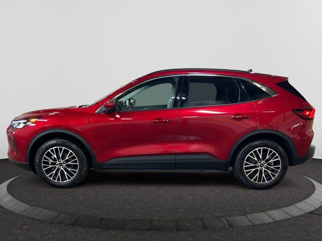 2023 Ford Escape PHEV in Cars & Trucks in Regina - Image 2