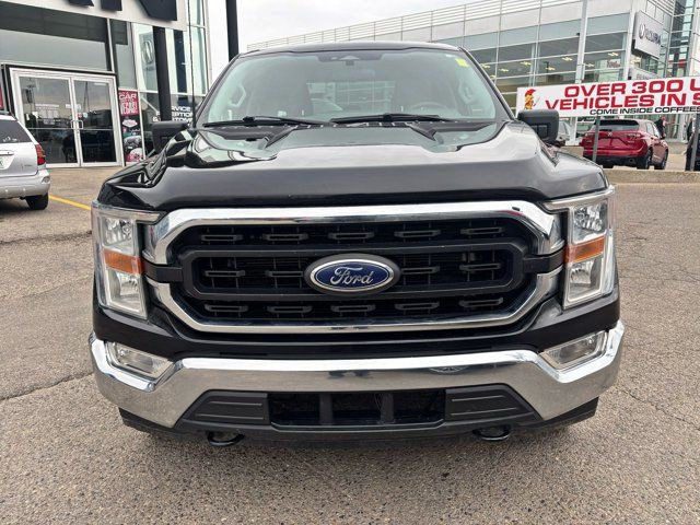 2022 Ford F-150 XLT 4x4 Crew Cab | 6 Pass | Htd Leather in Cars & Trucks in Regina - Image 4