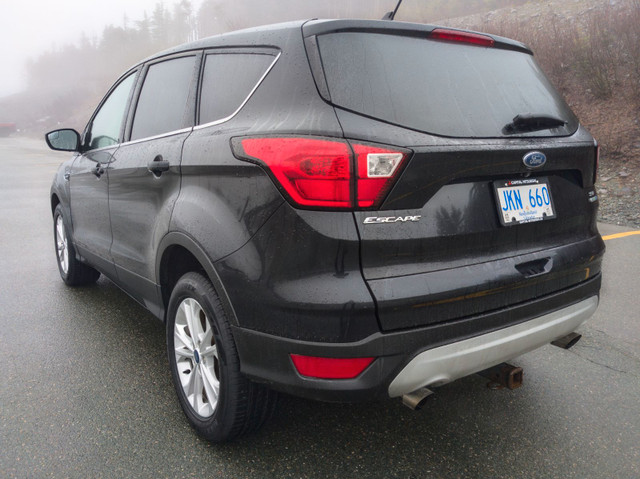 2019 Ford Escape SE in Cars & Trucks in St. John's - Image 4