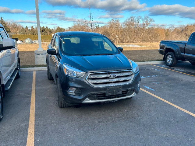  2019 Ford Escape SE in Cars & Trucks in Kawartha Lakes - Image 2