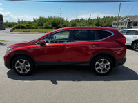 Anti-Lock Brakes; Fog Lights; Immobilizer; Back-Up Camera; Driver Information Centre; Deep Tinted Gl... (image 4)