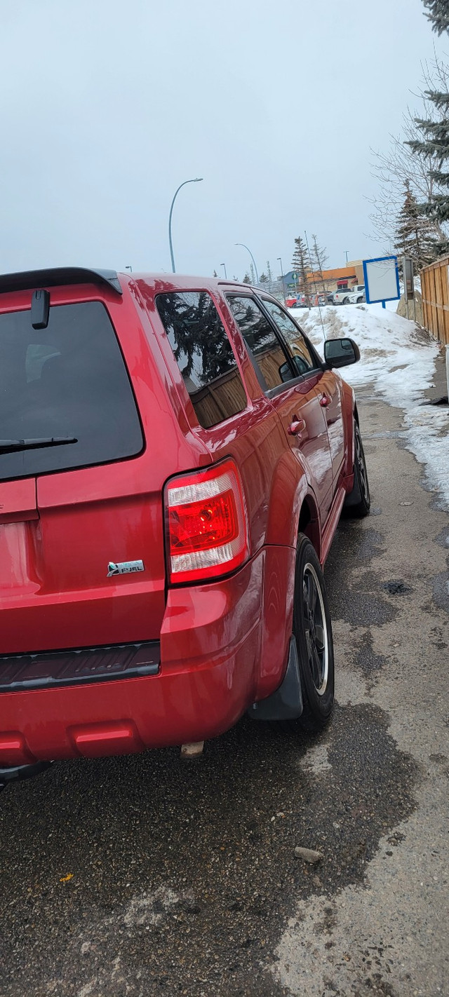 2012 Ford Escape XLT in Cars & Trucks in Calgary - Image 2