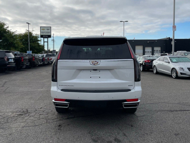 2024 Cadillac Escalade in Cars & Trucks in Oakville / Halton Region - Image 4
