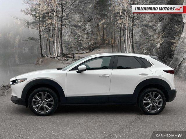 2025 Mazda CX-30 GS in Cars & Trucks in Hamilton - Image 2