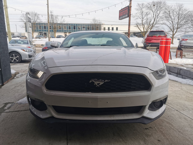 2017 Ford Mustang Fastback in Cars & Trucks in Kitchener / Waterloo - Image 2