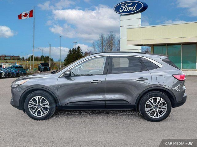 2021 Ford Escape SEL in Cars & Trucks in Kitchener / Waterloo - Image 4