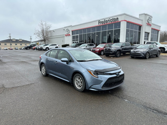 2020 Toyota Corolla Hybrid in Cars & Trucks in Fredericton