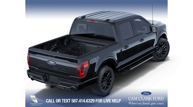 2025 Ford F-150 XLT in Cars & Trucks in Calgary - Image 3
