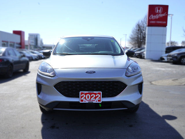 2022 Ford Escape SE | No Accidents in Cars & Trucks in Hamilton - Image 4