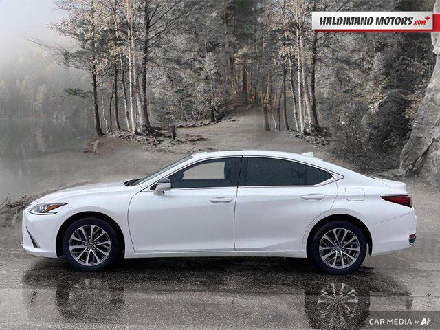 2022 Lexus ES ES 250 in Cars & Trucks in Hamilton - Image 2