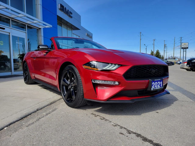 2021 Ford Mustang EcoBoost in Cars & Trucks in Markham / York Region - Image 4