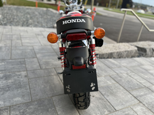 2024 Honda Monkey in Street, Cruisers & Choppers in Kitchener / Waterloo - Image 4