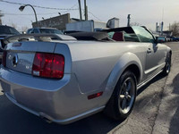 2005 Ford Mustang NIV: 1ZVFT85H855167857 État d'usage: GOOD Prix: 22995$ Odomètre: 19999 KM Moteur:... (image 1)
