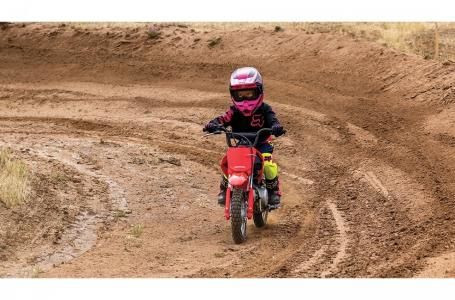 2023 Honda CRF50FP in Dirt Bikes & Motocross in Lethbridge - Image 3