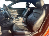 **Strickland's is home of the Hassle-Free car shopping experience. We make car buying fun, find your... (image 7)