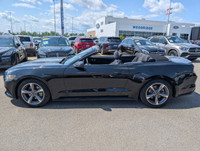 WAS: $30990 NOW: $28490 plus taxes and licensing feesLow Mileage, Premium Audio Package, Rear View C... (image 1)