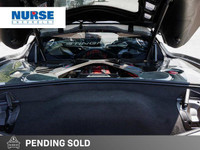 With only one previous owner, and only 7841km, this beauty is in excellent condition, inside and out... (image 6)