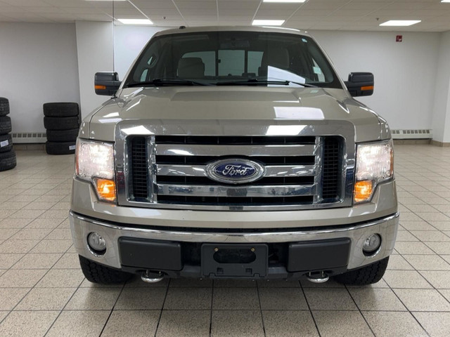 2009 Ford F-150 XLT in Cars & Trucks in Calgary - Image 4