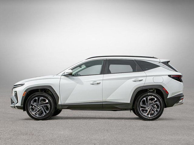 2025 Hyundai Tucson Plug-In Hybrid Ultimate in Cars & Trucks in Fredericton - Image 3