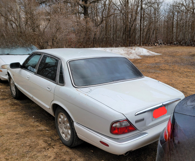 1998 Jaguar XJ8 in Cars & Trucks in Winnipeg - Image 2