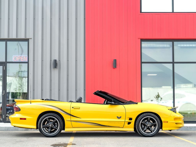 2002 Pontiac Firebird Trans Am Collectors Edition - 6 Speed | Lo in Cars & Trucks in Saskatoon - Image 4