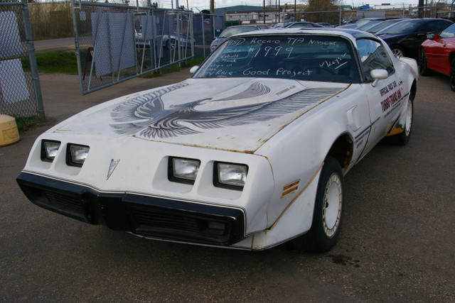1981 Trans Am Recaro Special Edition NASCAR Turbo 301 T-Top in Cars & Trucks in Edmonton