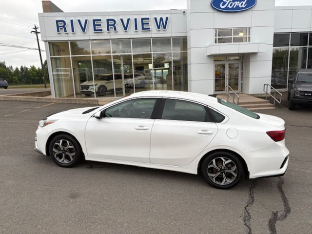 2019 Kia Forte in Cars & Trucks in Fredericton - Image 2